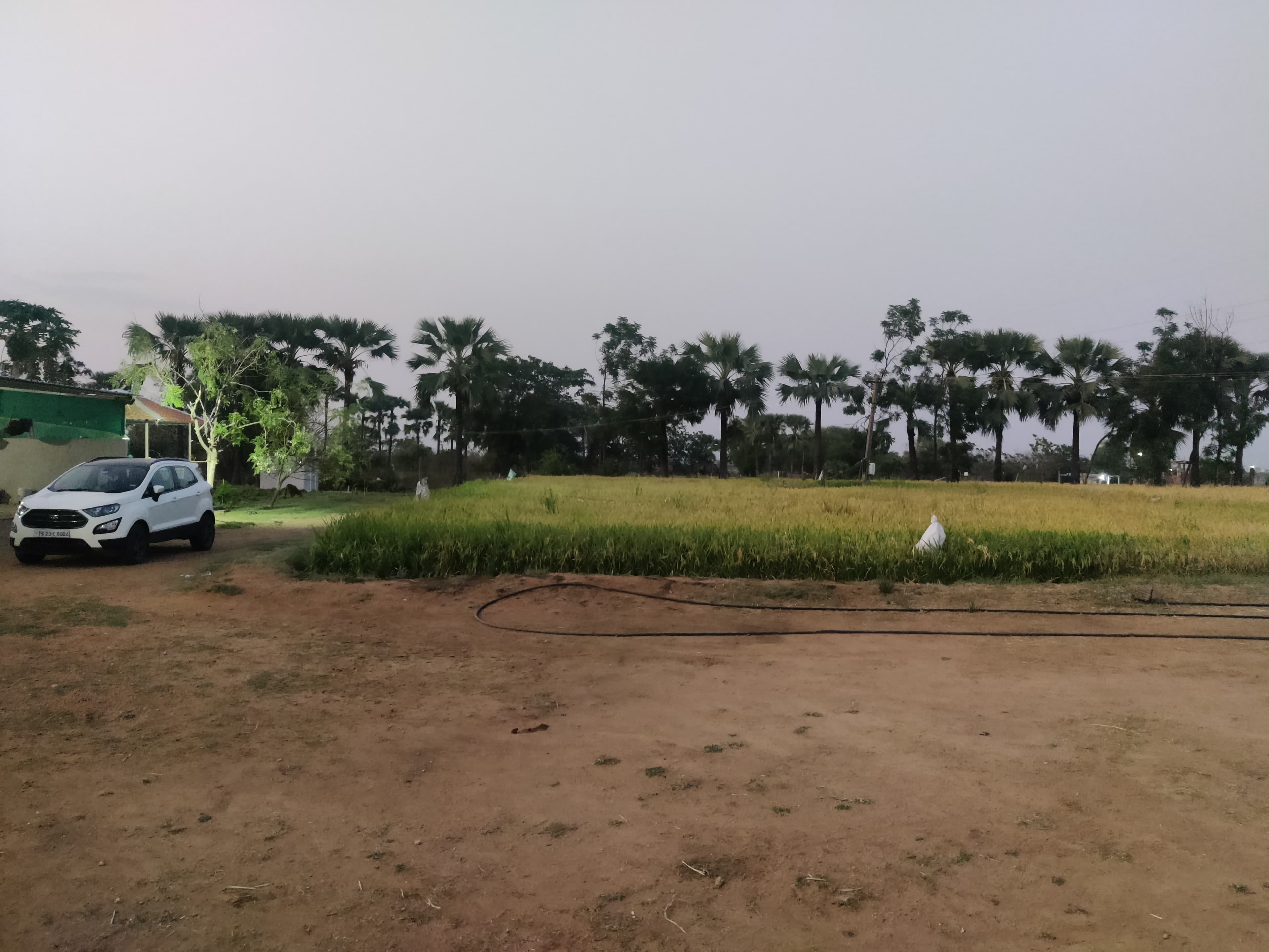 Farmstay Grassland